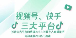 视频号、快手、抖音三大平台的剪辑与数字人直播技术，内容涵盖20+热门赛道-七量思维
