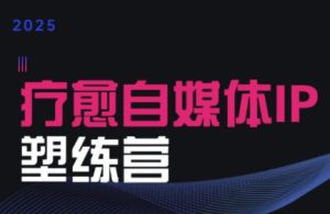 欣然老师·2025治愈自媒体IP训练营-七量思维