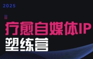2025治愈自媒体IP训练营，专为疗愈领域从业者打造-七量思维
