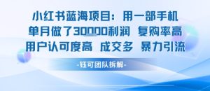 小红书蓝海项目，一部手机单月做了3W利润，小白也能月入过1W用户认可度高成交多-七量思维