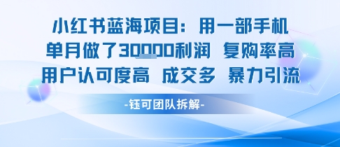 小红书蓝海项目，一部手机单月做了3W利润，小白也能月入过1W用户认可度高成交多-七量思维