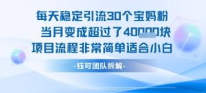 每天稳定引流30个人 当月变成超过了4个W项目流程非常简单适合小白-七量思维