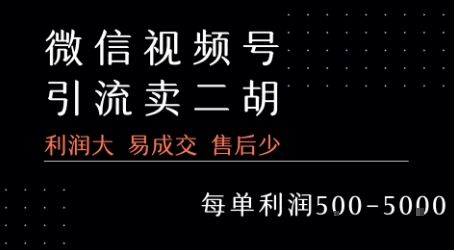 视频号卖二胡教程，利润大 易成交 售后少，一单利润5张+-七量思维