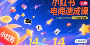 小红书虚拟电商速成课：个人定位分析，原创产品开发，14天变现路径规划-七量思维