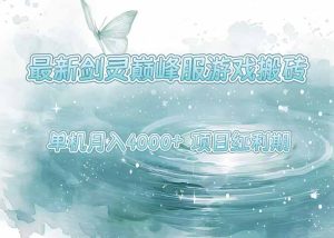 最新剑灵巅峰服游戏搬砖,项目红利期,单机稳定4000+操作简单好上手-七量思维