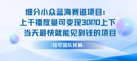 小众蓝海赛道项目：当天变现1k+适合新手操作 +适合长期玩-七量思维