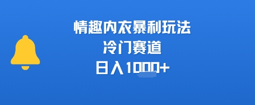 情趣内衣暴利玩法，冷门赛道，日入1k+-七量思维