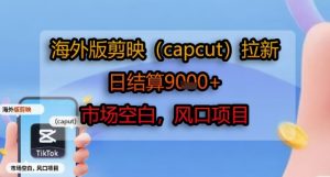 海外版剪映(capcut)拉新，日结算1k+，市场空白，风口项目-七量思维