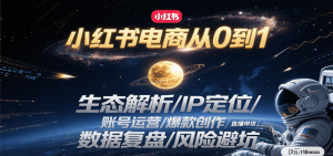 小红书电商从0到1：生态解析/IP定位/ 账号运营/爆款创作/直播带货/数据复盘/风险避坑-七量思维