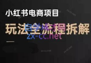 菲菲老师·小红书电商玩法(更新7月)-七量思维