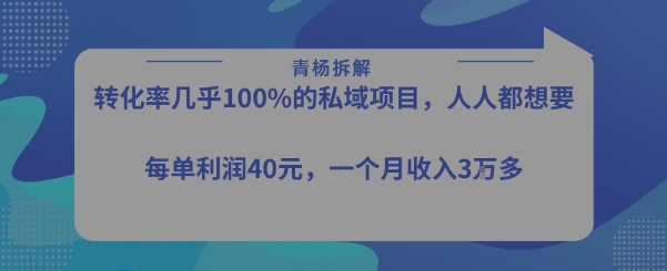 转化率最高的私域项目，每单利润40-50米，月入过1w-七量思维