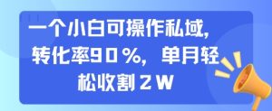 一个小白可操作私域，转化率90%，单月轻松收割2W-七量思维