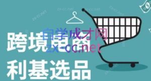 阿甘·2025年跨境电商选品案例(更新7月)-七量思维
