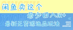 闲鱼卖这个，最少日入1k，最新无货源选品玩法-七量思维