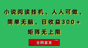 小说挂G阅读,人人可做,简单无脑,一天收益3张+矩阵无限上,全网首发【揭秘】-七量思维