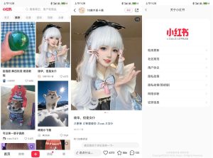 安卓小红书v8.24.0.5精简版-七量思维