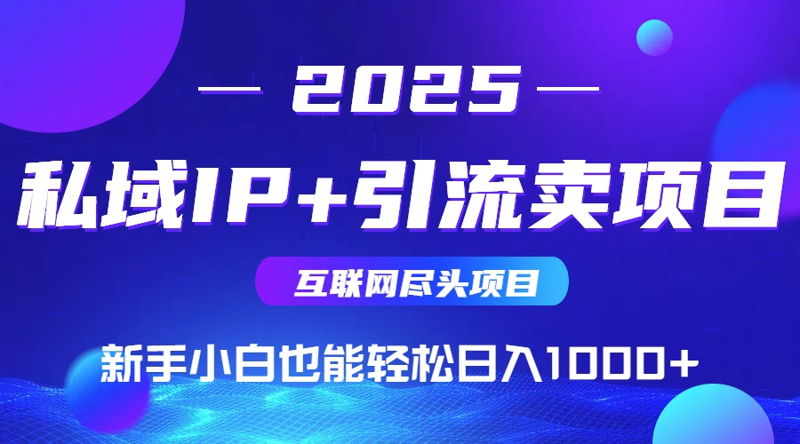 2025网创尽头项目，私域IP+引流，新手小白也能在家日入1000+-七量思维