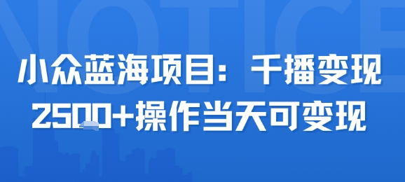 小众蓝海项目，千播变现2.5k+操作当天可变现-七量思维