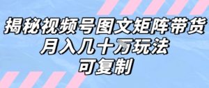 解密视频号图文矩阵带货,月入几个W的打法,可复制-七量思维
