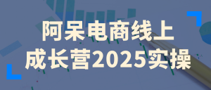 阿呆电商线上成长营2025实操-七量思维