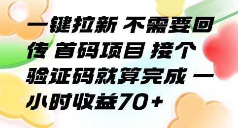 一键拉新 不需要回传 首码项目 接个验证码就算完成 一小时收益70+【揭秘】-七量思维