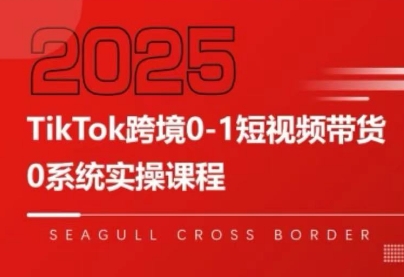 大亿老师·TikTok跨境0-1短视频带货-七量思维