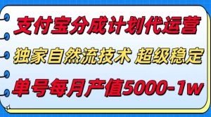支付宝分成计划代运营，独家自然流技术，收益稳定，单号月产5000＋-七量思维