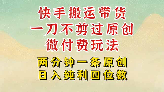快手黑科技搬运带货，一刀不剪过原创，微付费投流玩法，轻松日入四位数…-七量思维