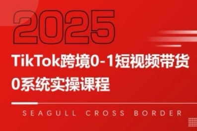 TikTok跨境0-1短视频带货，系统拆解TikTok跨境带货全链路，实现跨境可持续盈利-七量思维