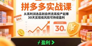 拼多多实战课：从高利润选品到自然流高投产起爆 30天实现低风险可持续盈利-七量思维