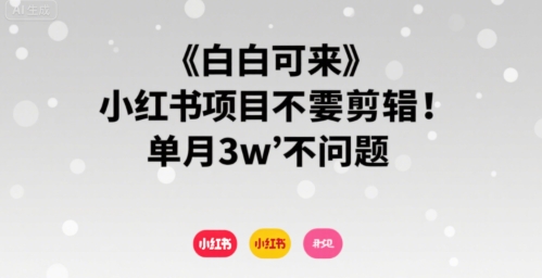 小白可来 小红书项目不需要剪辑 单月3w不是问题-七量思维