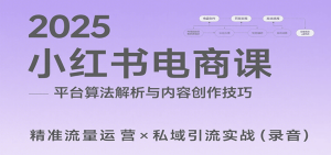 2025小红书电商课：解析算法，创作高转化内容，助力卖家获取流量实现变现(录音)-七量思维