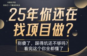 25年，你还在疯狂的找项目吗？别傻了，看完这个你都懂了【揭秘】-七量思维