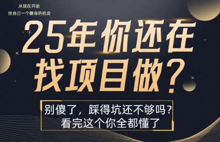 25年，你还在疯狂的找项目吗？别傻了，看完这个你都懂了【揭秘】-七量思维