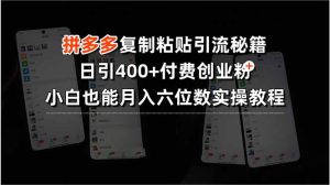 拼多多复制粘贴引流秘籍,日引400+付费创业粉,小白也能月入六位数实操…-七量思维
