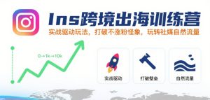 Ins跨境出海训练营，实战驱动玩法，打破不涨粉怪象，玩转社媒自然流量-七量思维