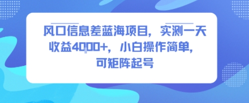 风口信息差蓝海项目，实测一天收益4k+，小白操作简单，可矩阵起号-七量思维