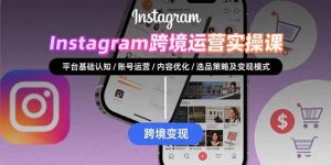 Instagram跨境运营实战：平台认知/账号运营/内容优化/选品策略及变现模式-七量思维