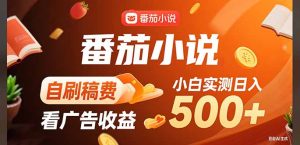稳定3年官方番茄小说自刷稿费小白单日500+-七量思维