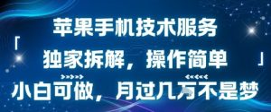 苹果手机技术服务,独家拆解,操作简单,小白可做,月过1W不是梦-七量思维