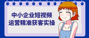 中小企业短视频运营精准获客实操-七量思维