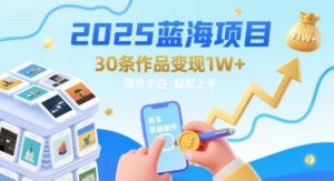 2025蓝海项目30条作品 变现1w+ 有手就能操作适合小白做-七量思维