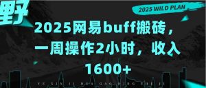 2025网易buff搬砖，一周操作2小时，收入1600+-七量思维