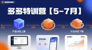 多多特训营【5-7月】产品决定上限，方法决定下限，各种玩法技巧落地实操-七量思维