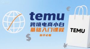 temu跨境电商小白基础入门课程，新手必看-七量思维