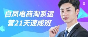 白凤电商淘系运营21天速成班-七量思维