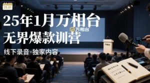 25年1月万相台无界爆款特训营线下录音-七量思维