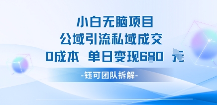 小白无脑项目公域引流私域成交0成本单日变现680米-七量思维