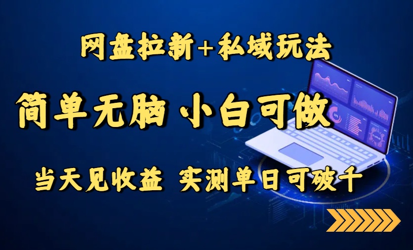网盘拉新+私域玩法，简单无脑，小白可做，当天见收益，实测单日可破千-七量思维