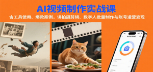 AI视频制作实战：含工具使用、爆款案例，讲拍摄剪辑、数字人批量制作与账号运营变现-七量思维